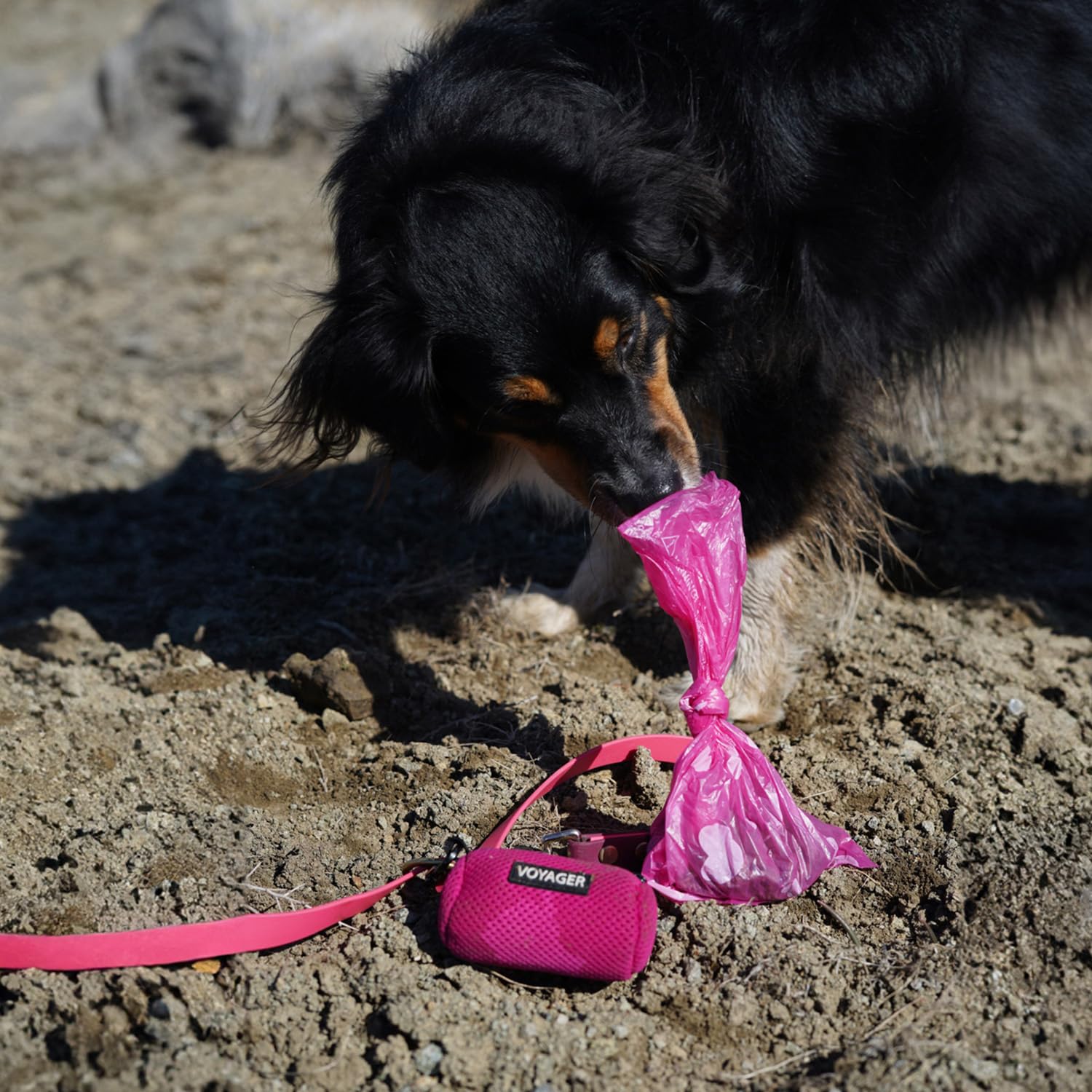 Foto 5 | Bolsas Para Excrementos De Perro Best Pet Supplies (240 Bolsas) A Prueba De Fugas, Color Rosa - Venta Internacional.