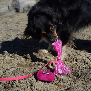 Foto 5 | Bolsas Para Excrementos De Perro Best Pet Supplies (240 Bolsas) A Prueba De Fugas, Color Rosa - Venta Internacional.