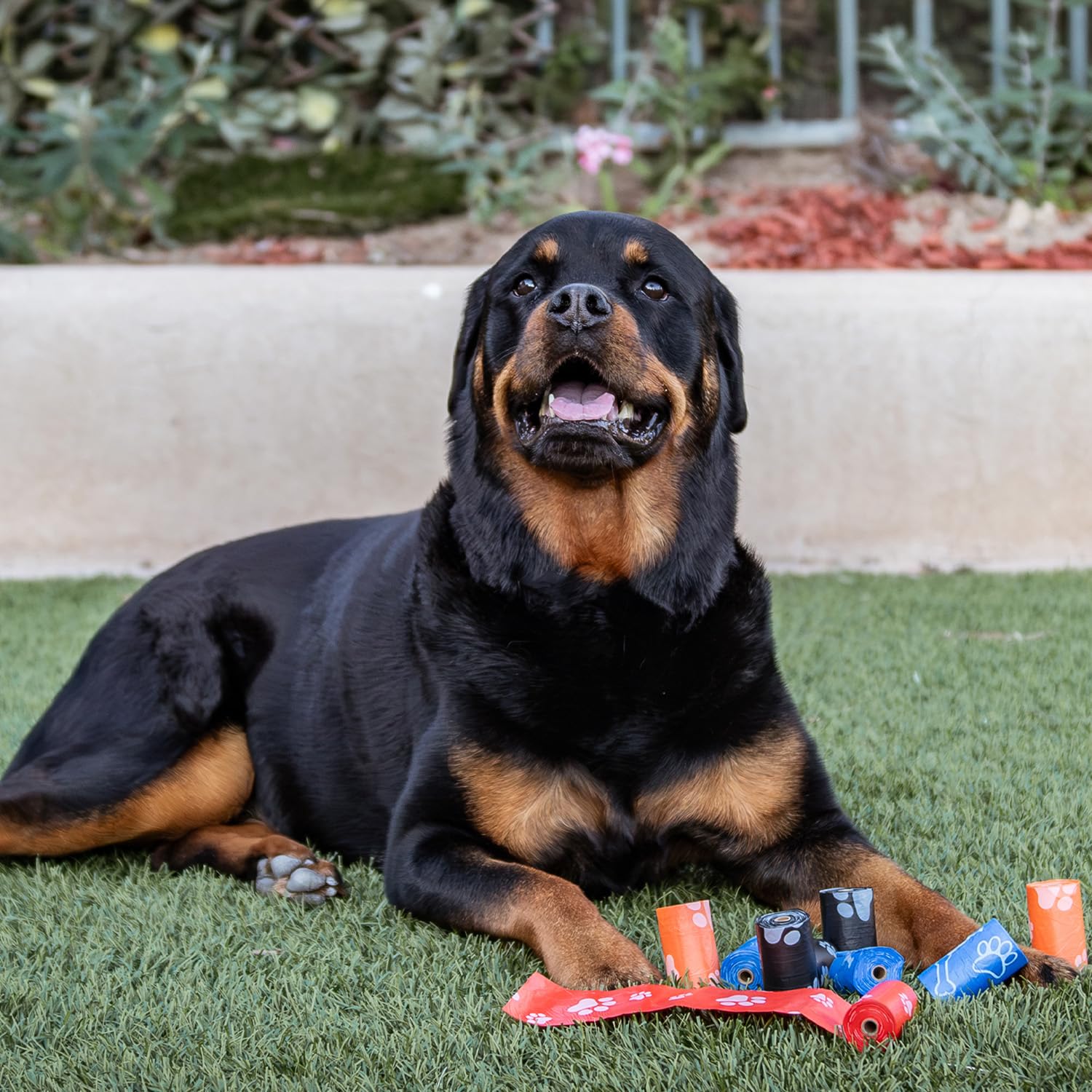 Foto 6 pulgar | Bolsas Para Excrementos De Perro, Los Mejores Suministros Para Mascotas (240 Bolsas), A Prueba De Fugas - Venta In