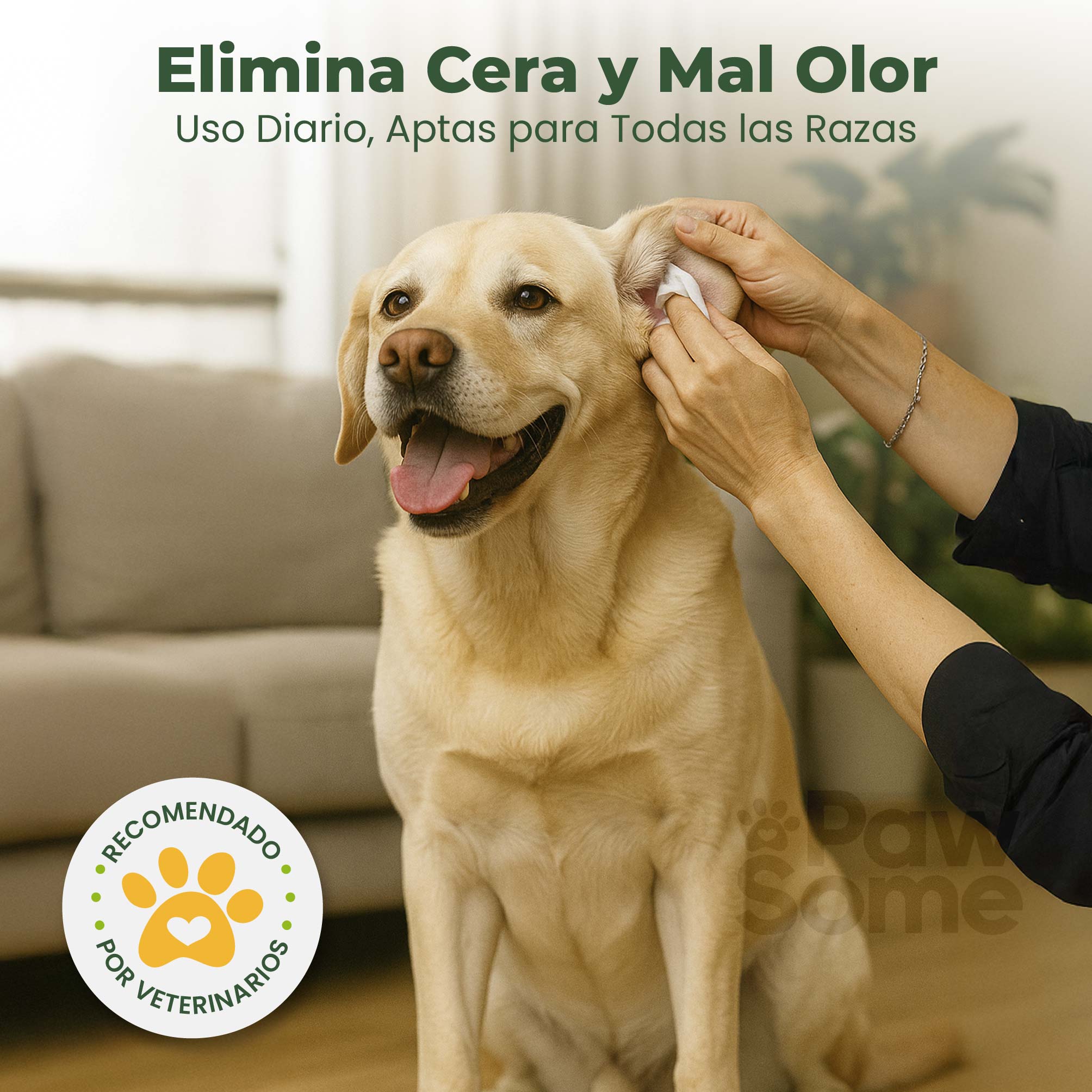 Foto 6 pulgar | Magmalife Toallitas Húmedas Biodegradables Para Perros  100% Suaves Con Textura Para Mejor Limpieza