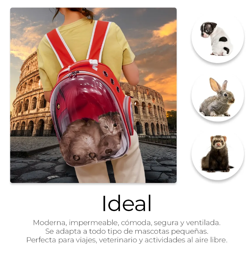 Foto 4 pulgar | Mochila Back Pack Transportadora Gato Perro Mascota Pequeña