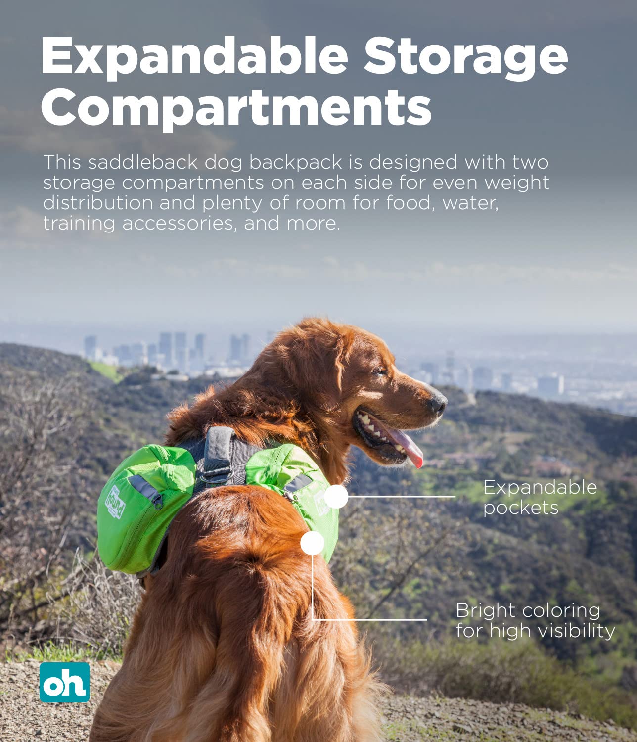 Foto 3 pulgar | Mochila Dog Saddleback Outward Hound Daypak Green Large - Venta Internacional.