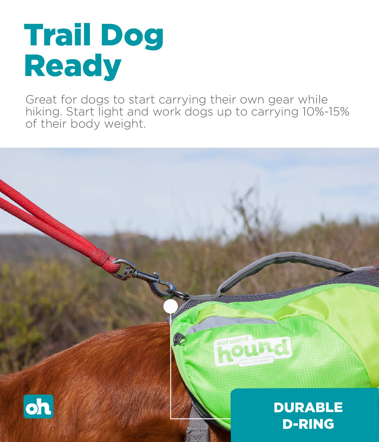 Foto 4 pulgar | Mochila Dog Saddleback Outward Hound Daypak Green Large - Venta Internacional.