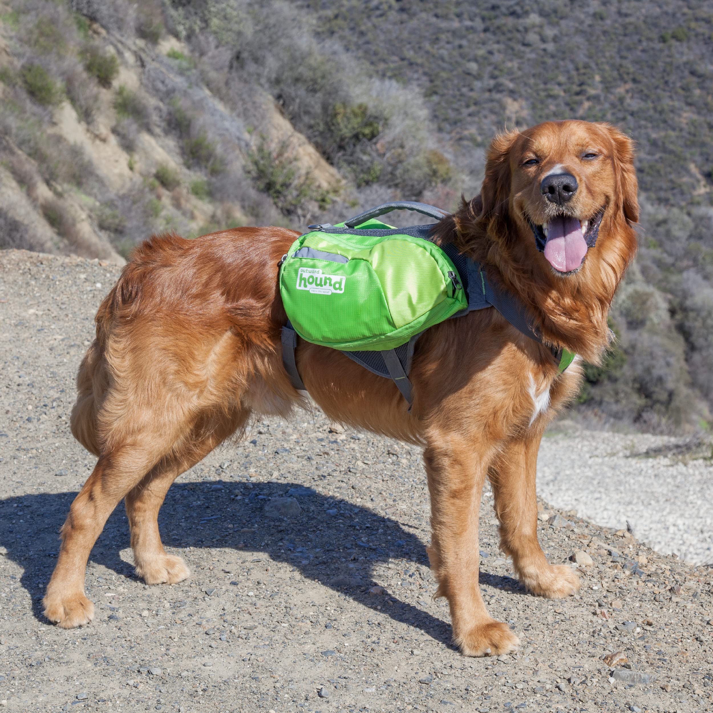 Foto 7 pulgar | Mochila Dog Saddleback Outward Hound Daypak Green Large - Venta Internacional.