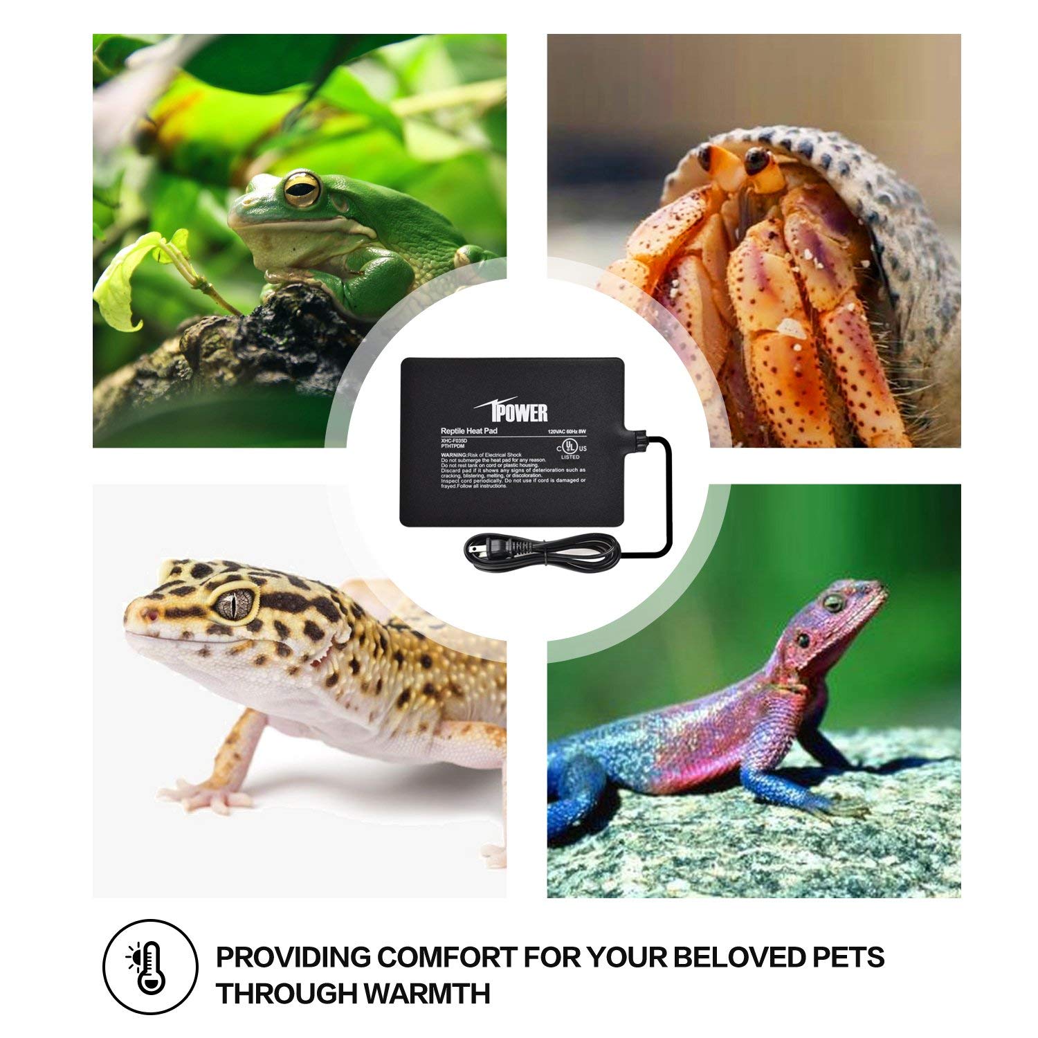 Foto 7 pulgar | Almohadilla Térmica Ipower, 6 X 8 Cm, 8 W, Para Reptiles, Debajo Del Tanque, Terrario - Venta Internacional.