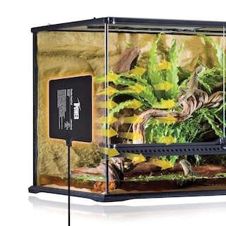 Foto 7 | Almohadilla Térmica Ipower, 6 X 8 Cm, 8 W, Para Reptiles, Debajo Del Tanque, Terrario - Venta Internacional.