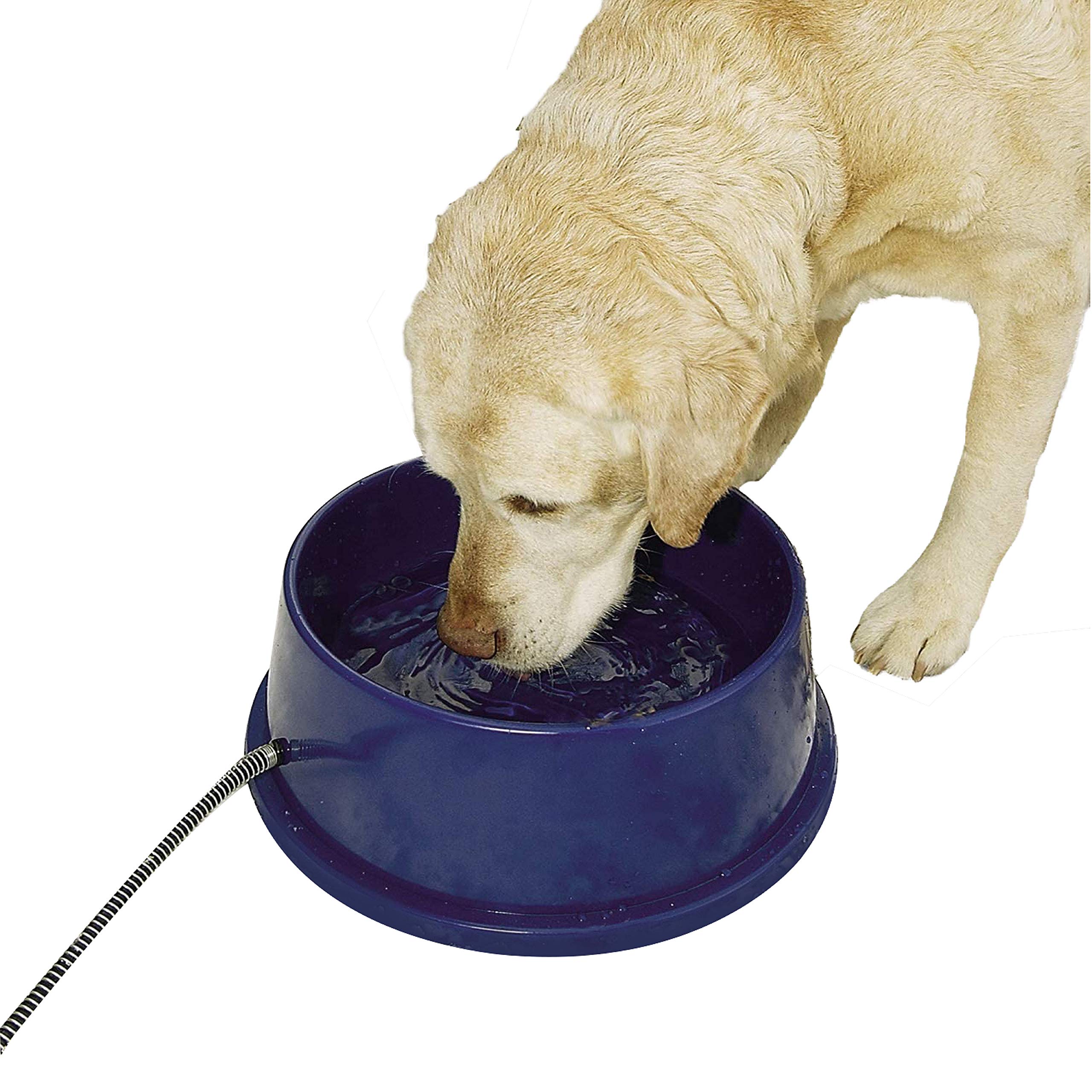 Foto 2 pulgar | Cuenco Térmico Para Perros K&h Pet Products, Cuenco Térmico Azul, 2,8 L - Venta Internacional.