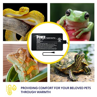 Foto 5 | Alfombrilla Térmica Ipower De 4 W Con Forma De Reptil, 10 X 18 Cm, Con Termómetro Para Terrario - Venta Internacional.