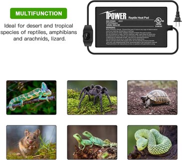 Foto 7 | Alfombrilla Térmica Para Reptiles Ipower De 4 Pulgadas Con Controlador De Temperatura - Venta Internacional.