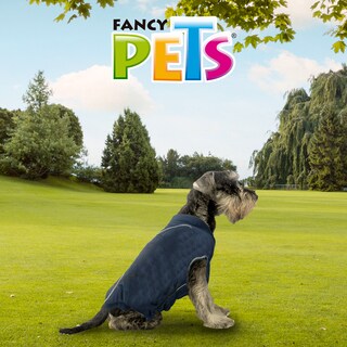Foto 6 | Chaleco Tom para Perro Grande Fancy Pets Azul