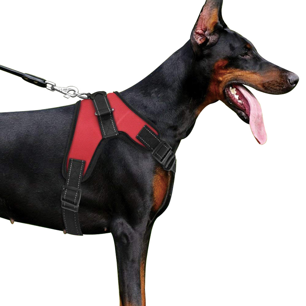 Foto 5 pulgar | Pechera Arnés Perrísimo para Perro Grande