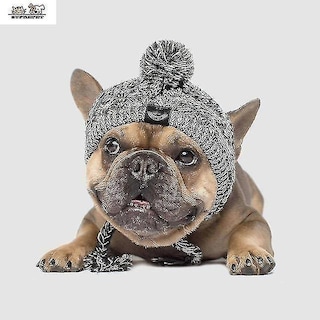 Foto 1 | Gorro Para Perro, Tejido Cálido En Invierno, A Prueba De Viento, Para Bulldog Francés - Venta Internacional.