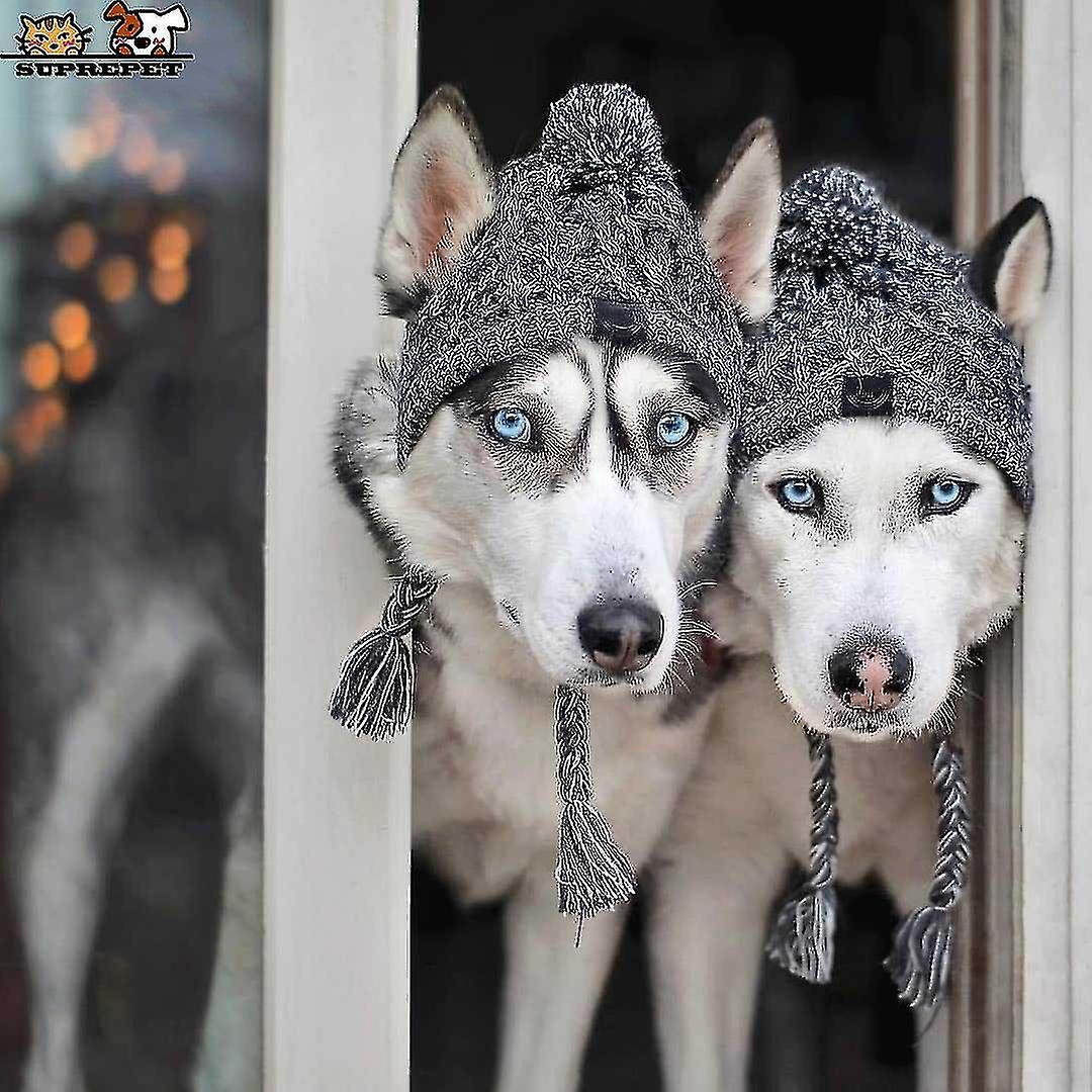 Foto 6 pulgar | Gorro Para Perro, Tejido Cálido En Invierno, A Prueba De Viento, Para Bulldog Francés - Venta Internacional.