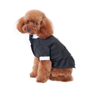 Foto 2 | Traje De Esmoquin Para Perro, Disfraz De Perrito Negro, Talla L, Boda - Venta Internacional.
