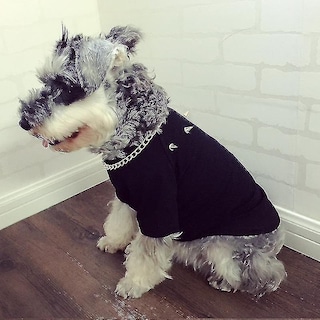 Foto 2 | Dog Apparel - Chaleco De Verano Para Perros, Estilo Prickly Punk, Talla M, Color Negro - Venta Internacional.
