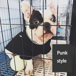 Foto 4 | Dog Apparel - Chaleco De Verano Para Perros, Estilo Prickly Punk, Talla M, Color Negro - Venta Internacional.