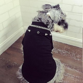 Foto 5 | Dog Apparel - Chaleco De Verano Para Perros, Estilo Prickly Punk, Talla M, Color Negro - Venta Internacional.