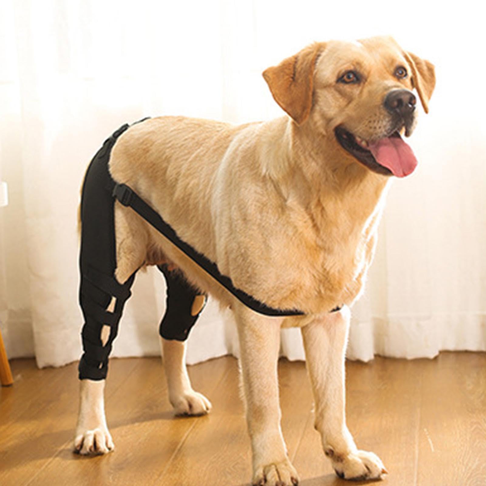 Foto 2 | Soporte De Rodillera Trasera Para Perros Pequeños Y Medianos - Venta Internacional.