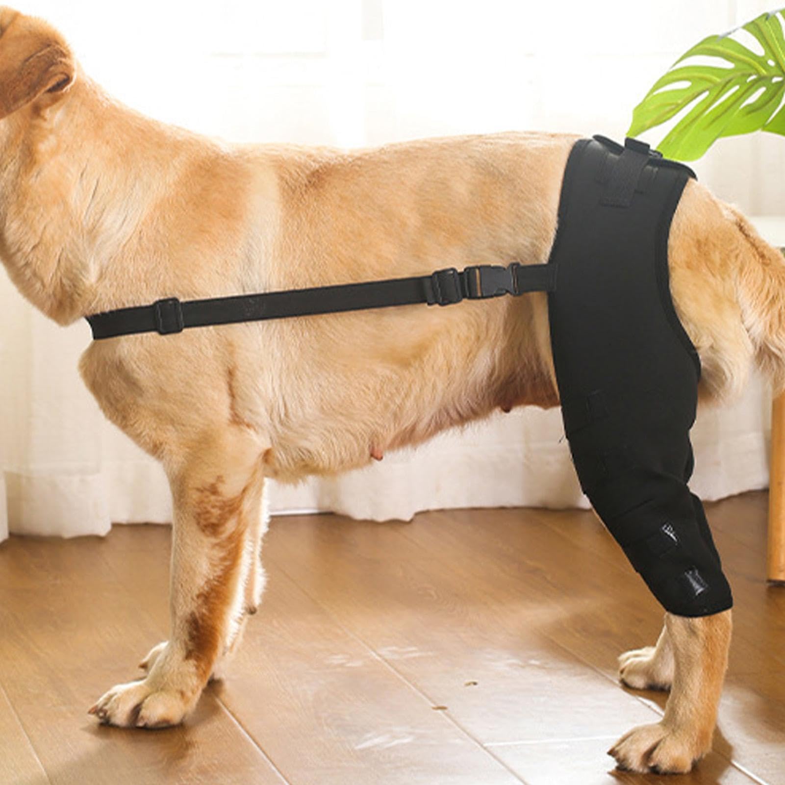 Foto 3 | Soporte De Rodillera Trasera Para Perros Pequeños Y Medianos - Venta Internacional.