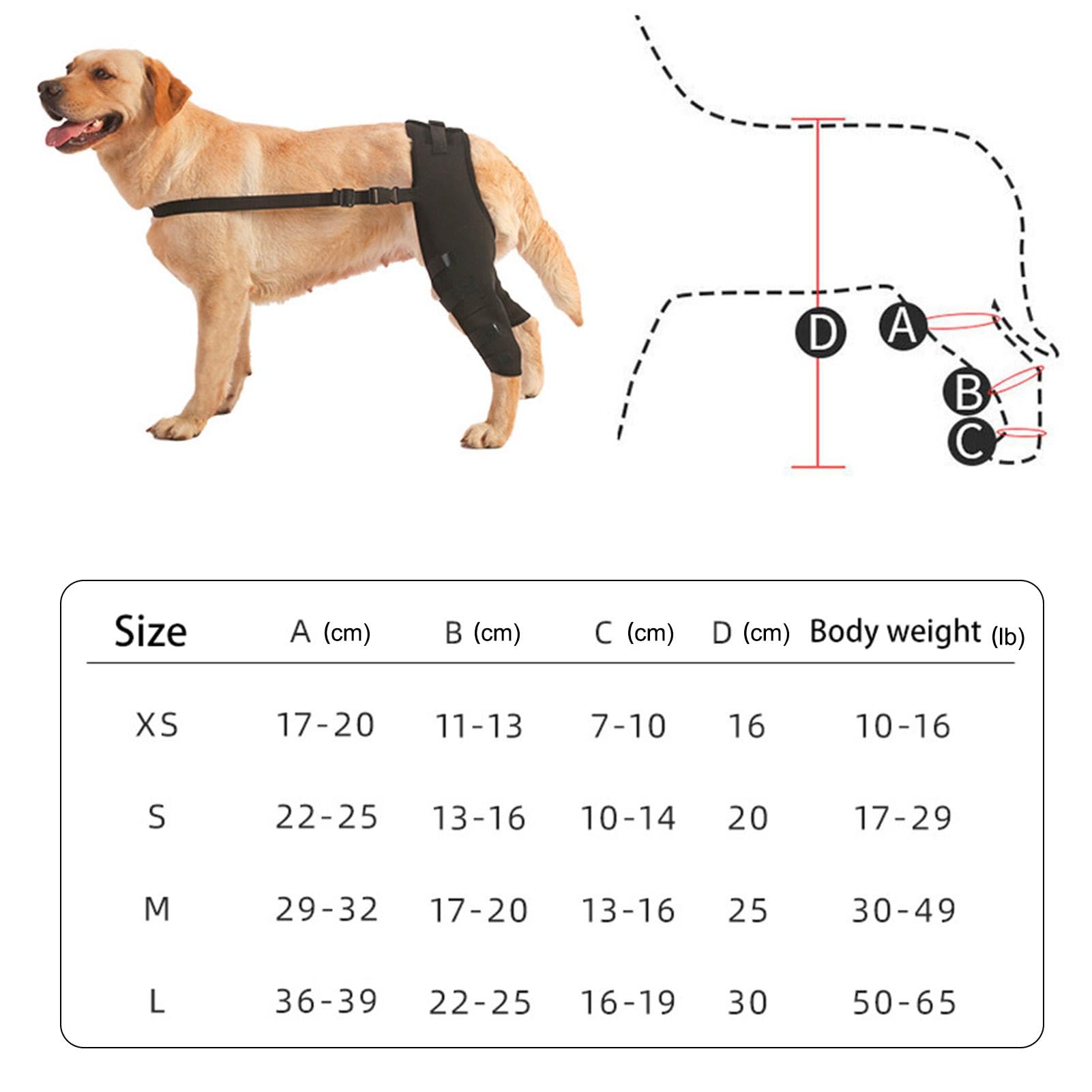 Foto 7 pulgar | Soporte De Rodillera Trasera Para Perros Pequeños Y Medianos - Venta Internacional.
