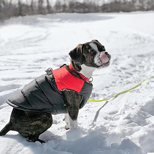 Foto 6 | Chaleco Acolchado Gooby Para Perros, Color Rojo, De Invierno, Para Pequeños Y Medianos - Venta Internacional.