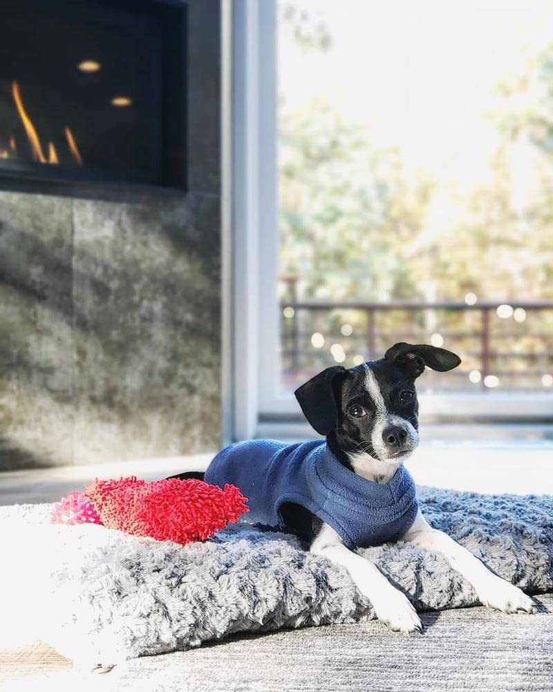 Foto 7 pulgar | Jersey Gooby De Forro Polar Elástico Para Perros, Azul Índigo, Talla Xs - Venta Internacional.