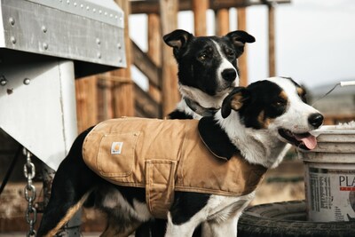 Foto 6 | Capa Para Perros Carhartt Firm Duck Con Aislamiento Térmico Para Tareas De Perro, Marrón Y Latón - Venta Internacional