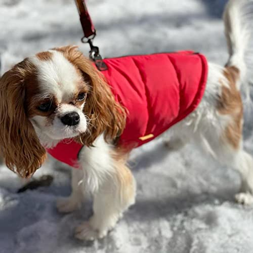 Foto 7 pulgar | Chaleco Acolchado Gooby Para Perro, Color Rojo Liso, De Invierno, Para Perros Medianos - Venta Internacional.