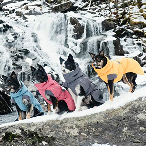 Foto 5 pulgar | Abrigo Para Perros Hurtta Expedition Parka Buckthorn, 35 Cm - Venta Internacional.