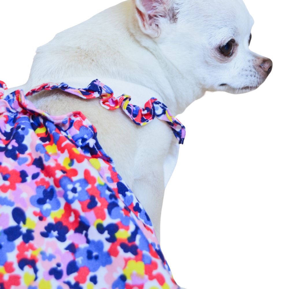 Vestido Mascotti Colors 2ECH Multicolor Para Perros $330
