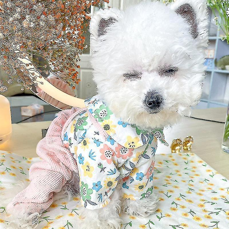 Foto 6 pulgar | Mono Para Perro Huoguo Primavera/verano Para Perro Pequeño Y Gato De Peluche - Venta Internacional.