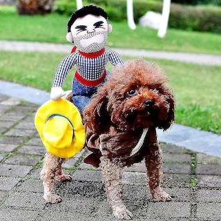 Foto 2 | Disfraz De Perro Huoguo, Chaqueta Vaquera De Halloween Para Perros - Venta Internacional.