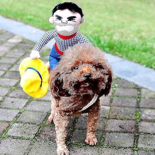 Foto 4 | Disfraz De Perro Huoguo, Chaqueta Vaquera De Halloween Para Perros - Venta Internacional.
