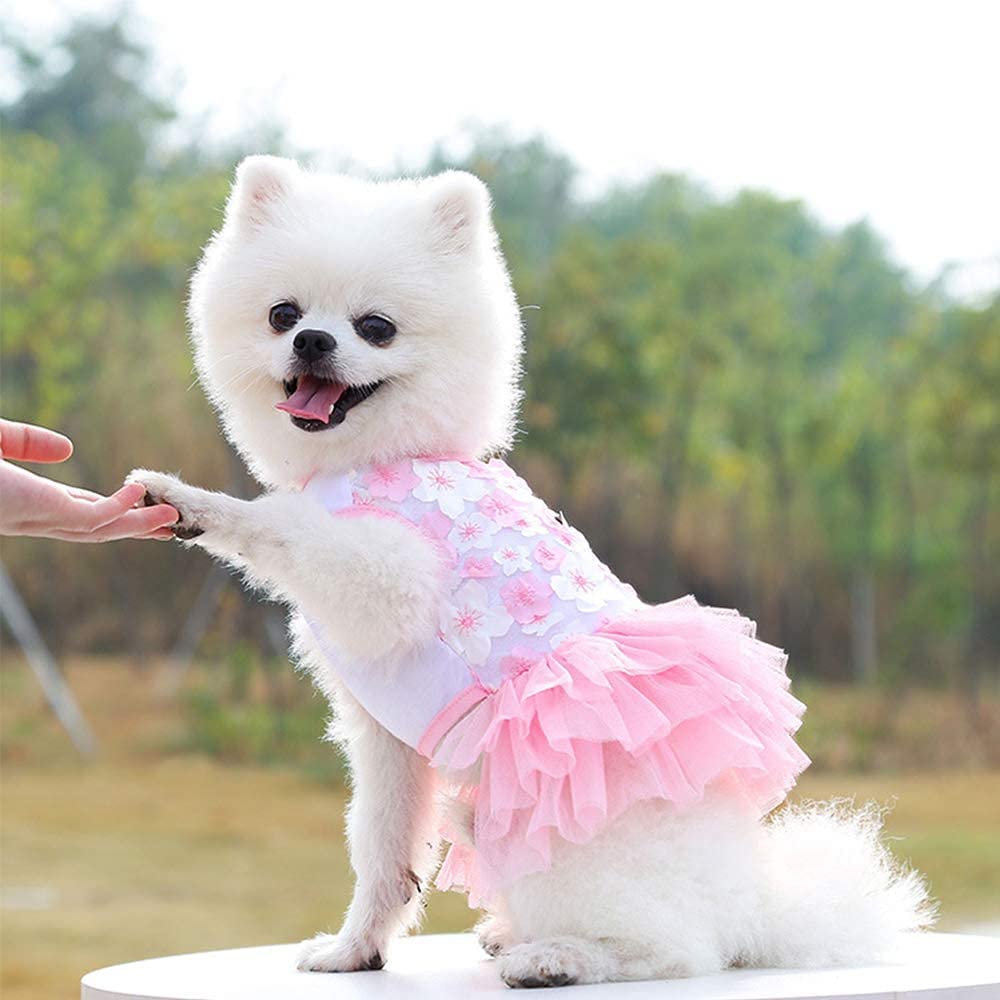 Vestidos Para Perros Huoguo Vestido De Princesa Tutú De Verano Para Perros Pequeños - Venta Internacional.