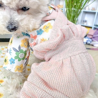 Foto 4 | Mono Para Perro Huoguo Primavera-verano Para Gato De Peluche Y Perro Pequeño - Venta Internacional.