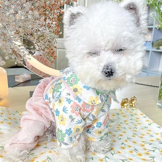 Foto 5 | Mono Para Perro Huoguo Primavera-verano Para Gato De Peluche Y Perro Pequeño - Venta Internacional.