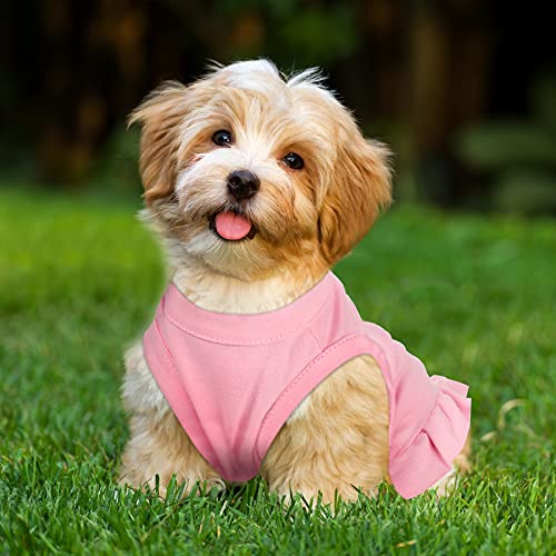 Foto 8 pulgar | Dog Dresses Weewooday, Falda Tipo Camisa Para Perros, 6 Piezas - Venta Internacional.