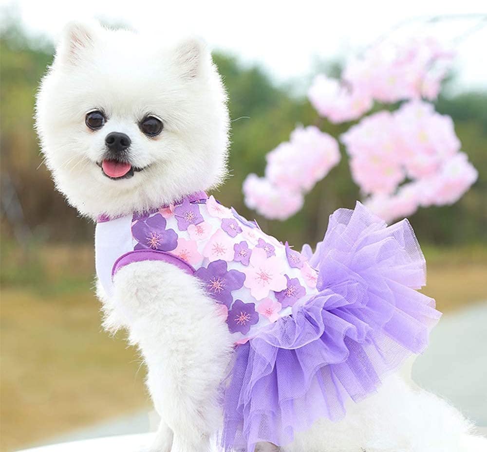 Vestido Para Perros Huoguo Puppy Chihuahua, Ropa Para Niñas Y Perros - Venta Internacional.