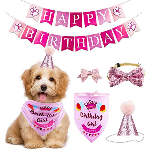 Set De Artículos Para Fiestas De Cumpleaños Gagiland Dog Para Perros Medianos Y Grandes  - Venta Internacional.