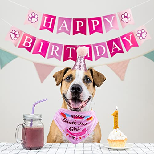 Foto 6 pulgar | Set De Artículos Para Fiestas De Cumpleaños Gagiland Dog Para Perros Medianos Y Grandes  - Venta Internacional.