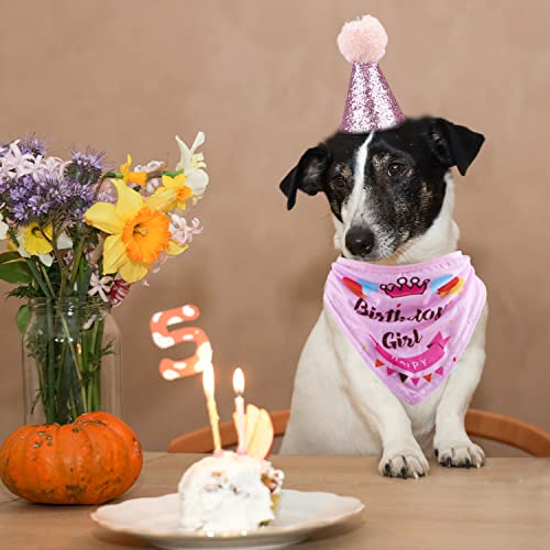Foto 7 | Set De Artículos Para Fiestas De Cumpleaños Gagiland Dog Para Perros Medianos Y Grandes  - Venta Internacional.