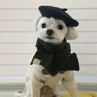 Foto 3 | Gorro Tipo Boina Para Perro Homesogood Tela Negra De Lana Y Fieltro 13 X 3 Cm - Venta Internacional.