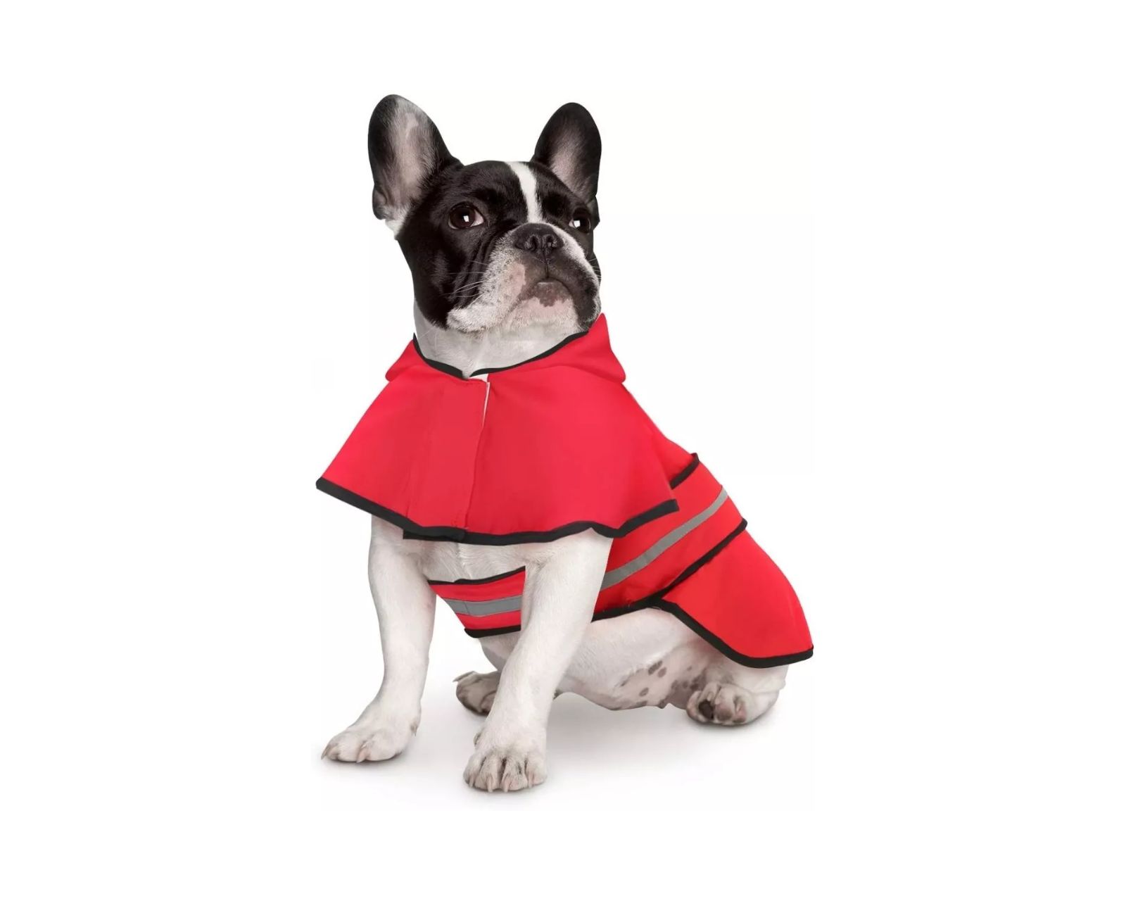 Foto 2 | Impermeable con Capucha color Rojo Talla S para Perros y Gatos