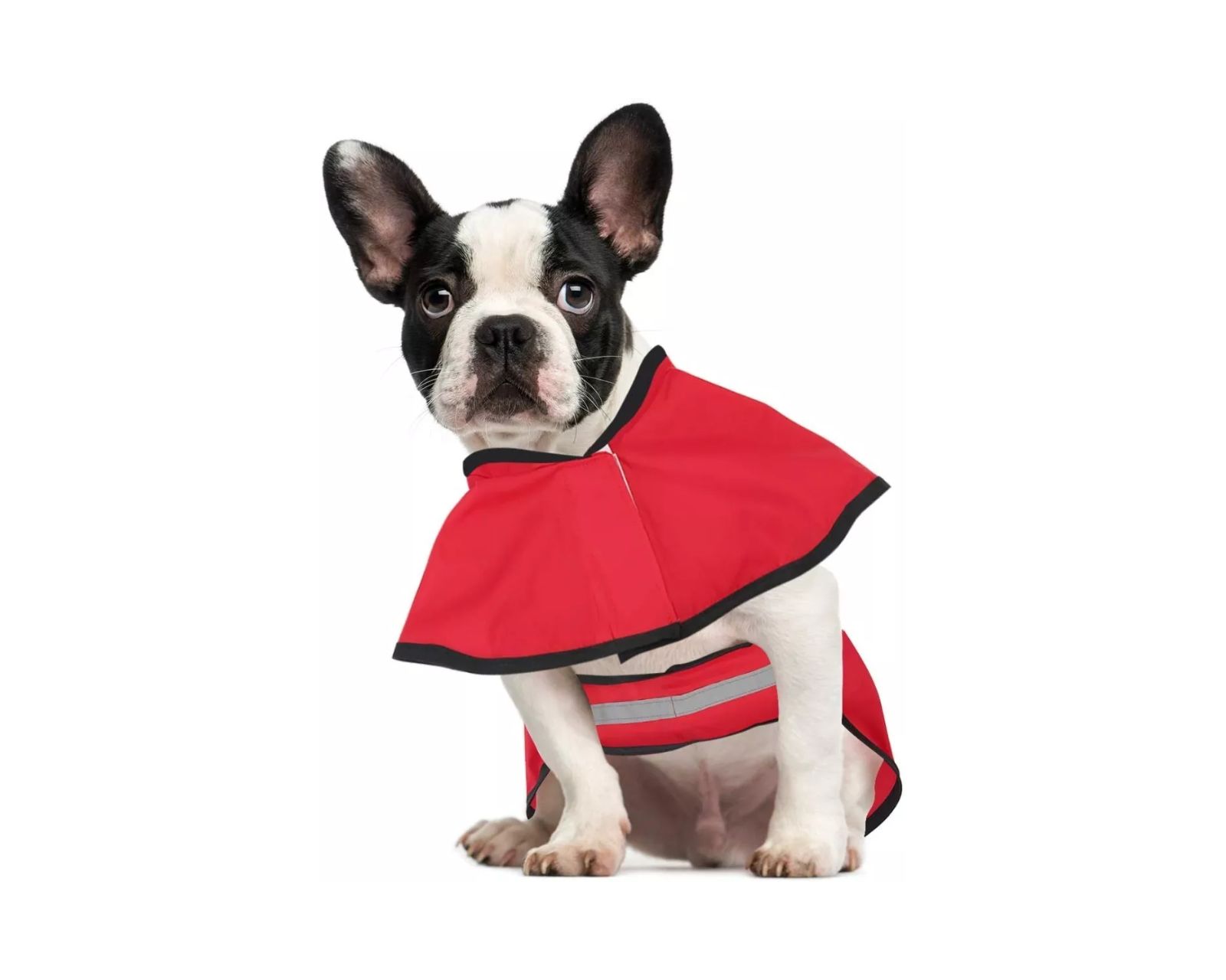 Foto 4 pulgar | Impermeable con Capucha color Rojo Talla S para Perros y Gatos