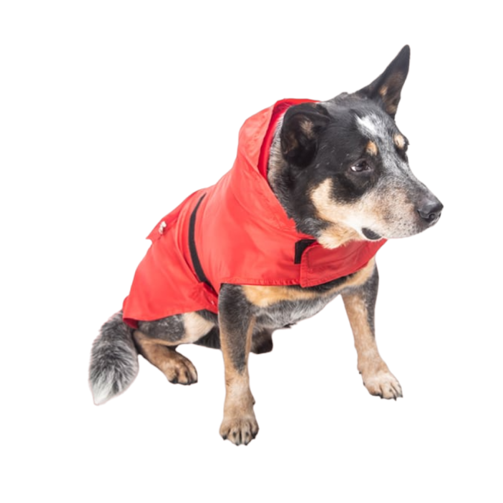 Foto 3 pulgar | Impermeable para Perro Pet Pals Tortuga Rojo