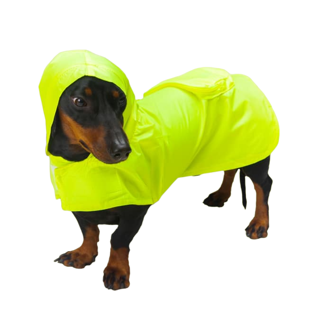 Impermeable para Mascota Pet Pals Amarillo