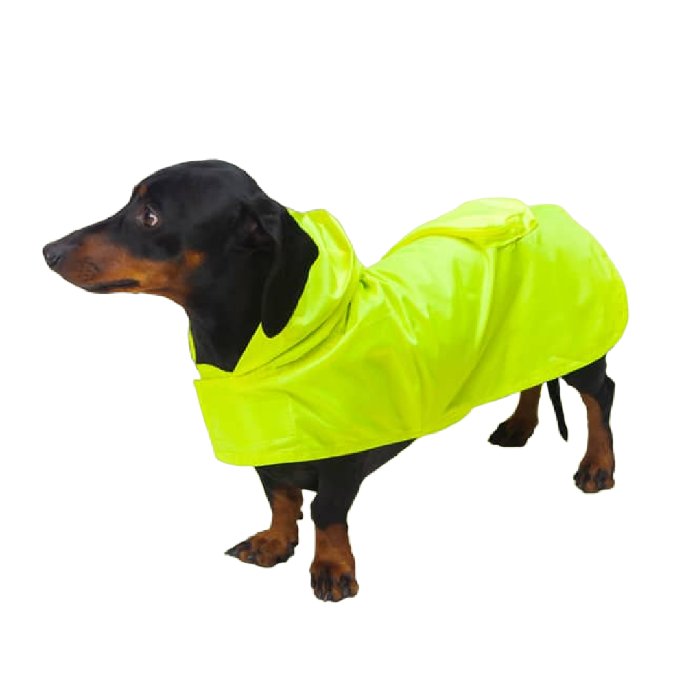 Foto 2 | Impermeable para Mascota Pet Pals Amarillo