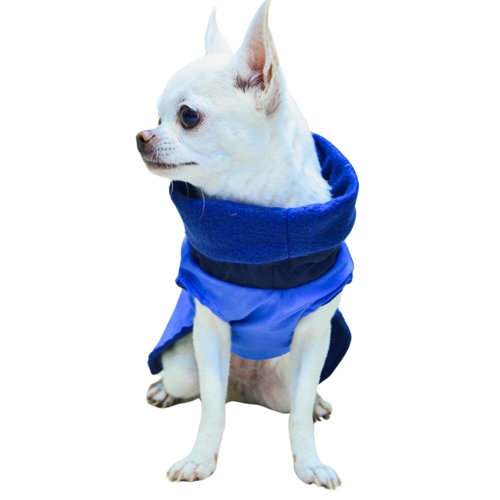 Impermeable Mascotti Pet Boutique Azul para Mascota $569