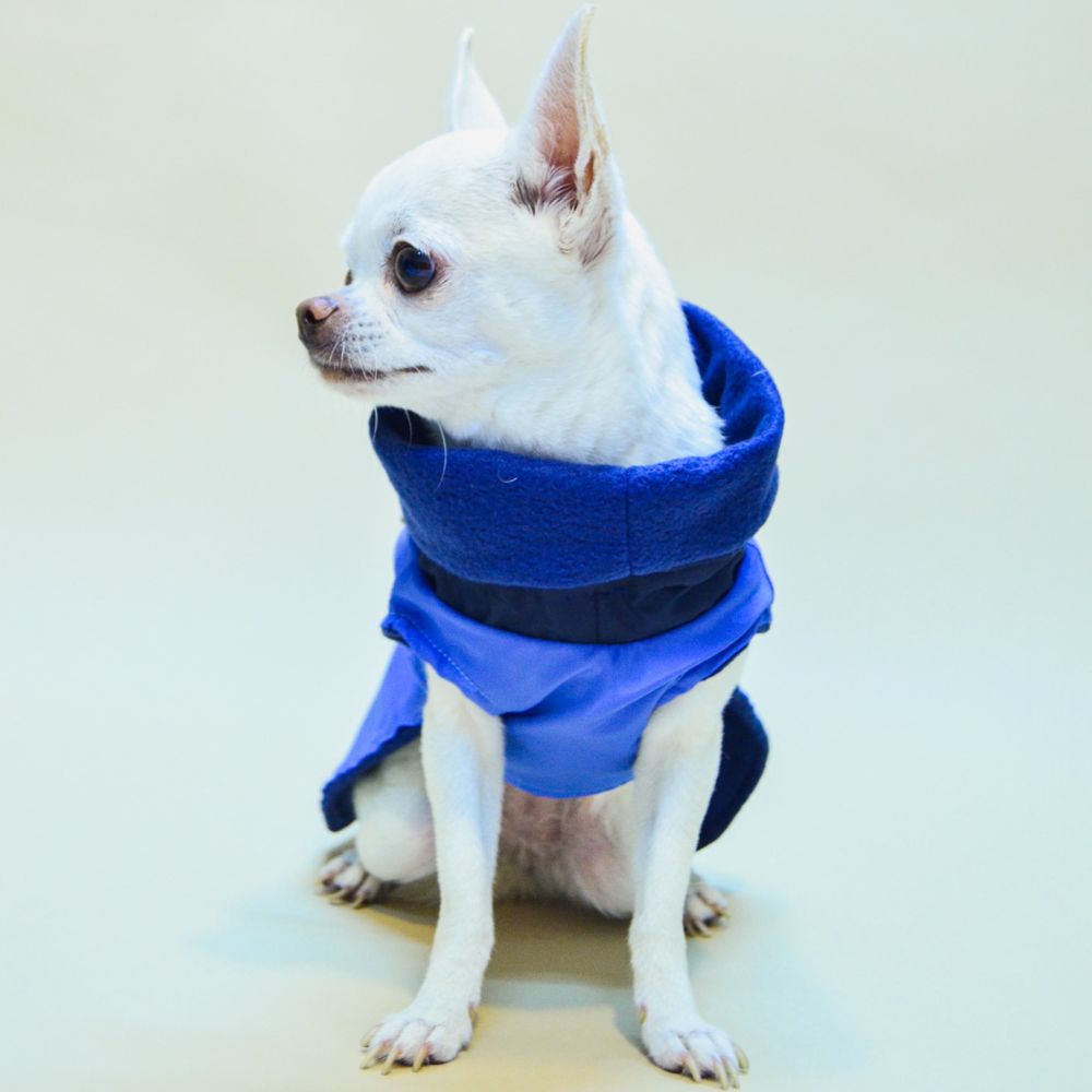 Impermeable Mascotti Pet Boutique Azul para Mascota $519