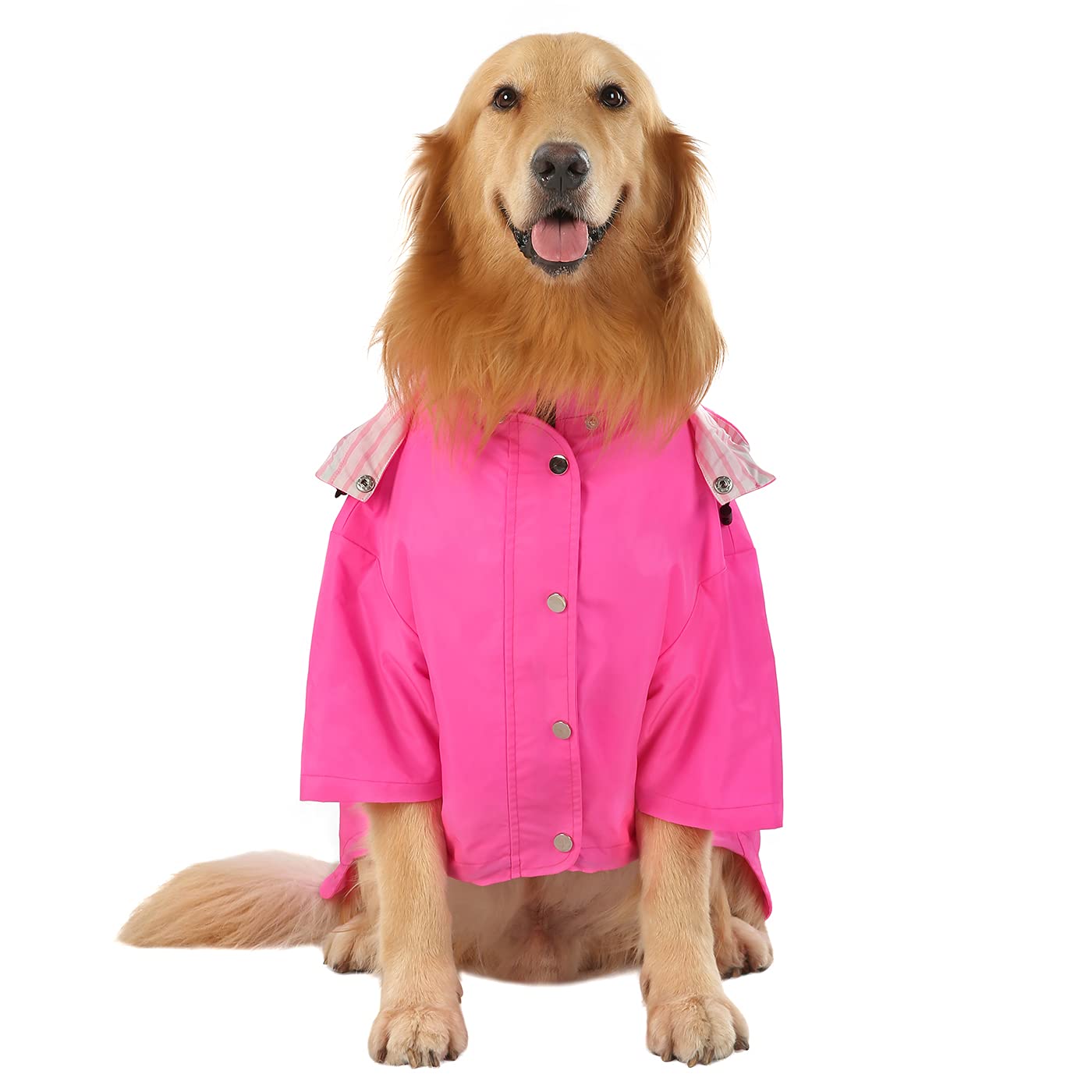 Foto 3 pulgar | Chubasquero Para Perros Hde De Doble Capa Impermeable Con Capucha Para Perros - Venta Internacional.